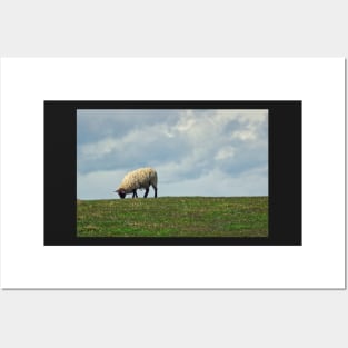 Sheep on the Hill Posters and Art